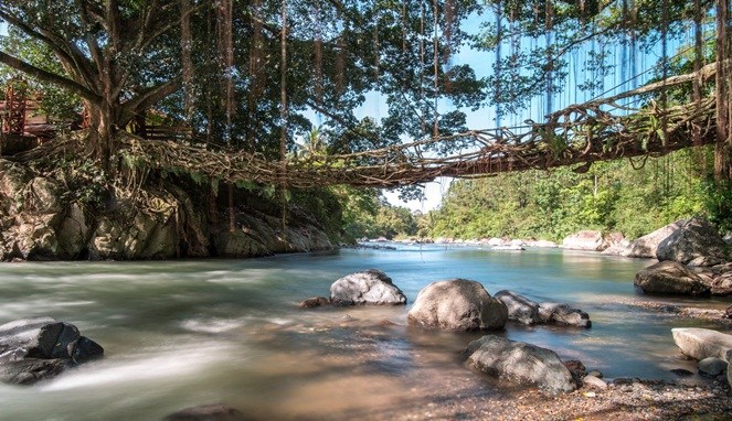 Jembatan akar Pesisir Selatan